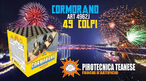 Cormorano - 49 colpi